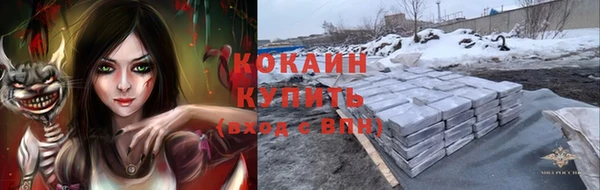 крисы Аркадак