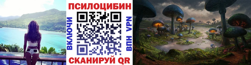 Галлюциногенные грибы Psilocybine cubensis  Саки 